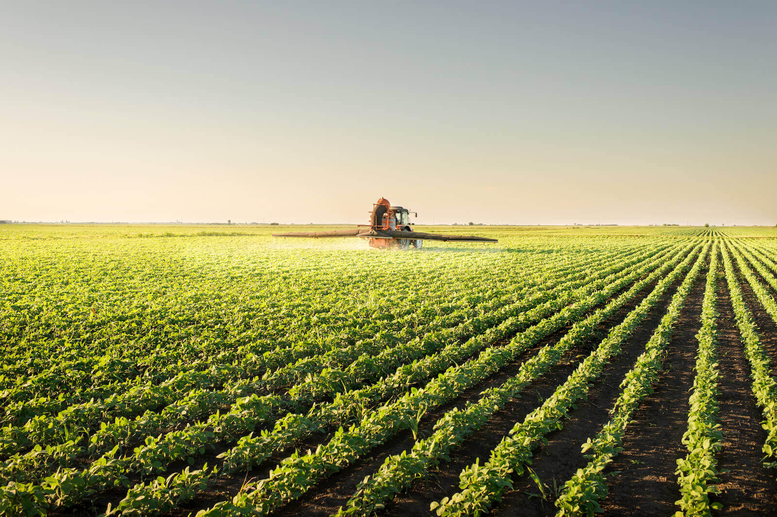 farm-and-crop.jpg